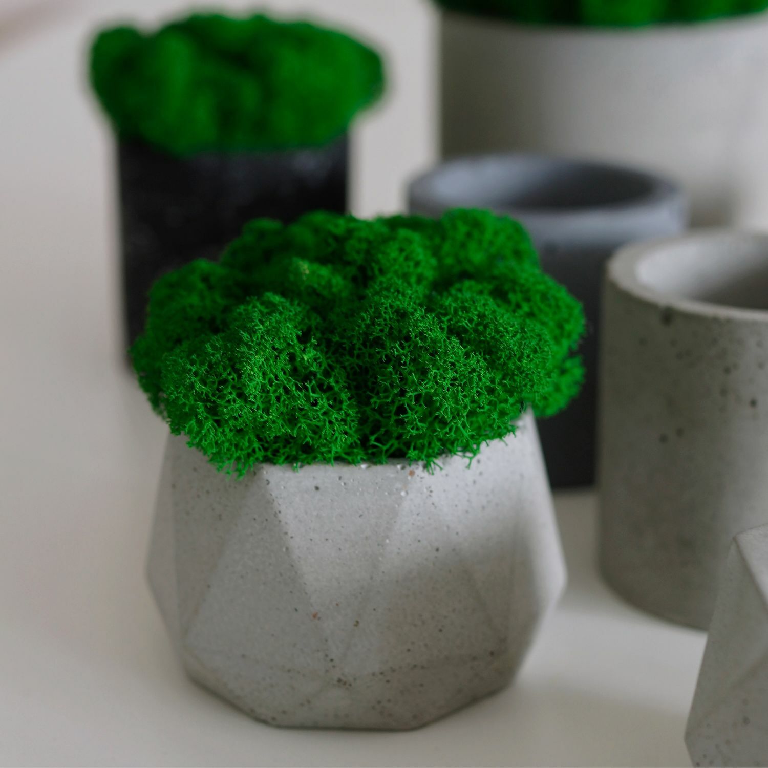 Набор кашпо со стабилизированным мхом 3 шт. Набор кашпо со стабилизированным мхом 3 шт.